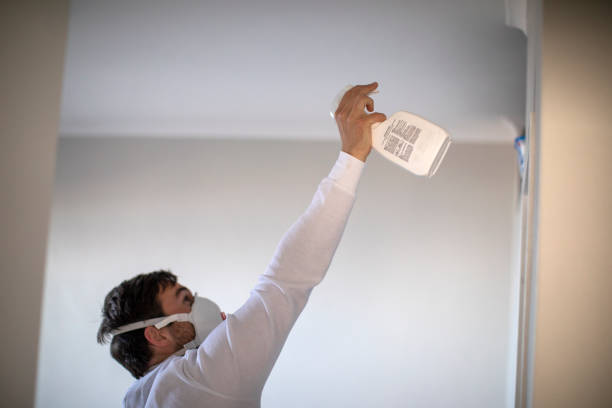 Best Office Mold Removal Services  in East Berwick, PA