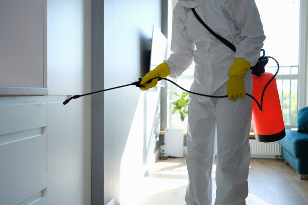 Trusted East Berwick, PA Mold Removal Experts